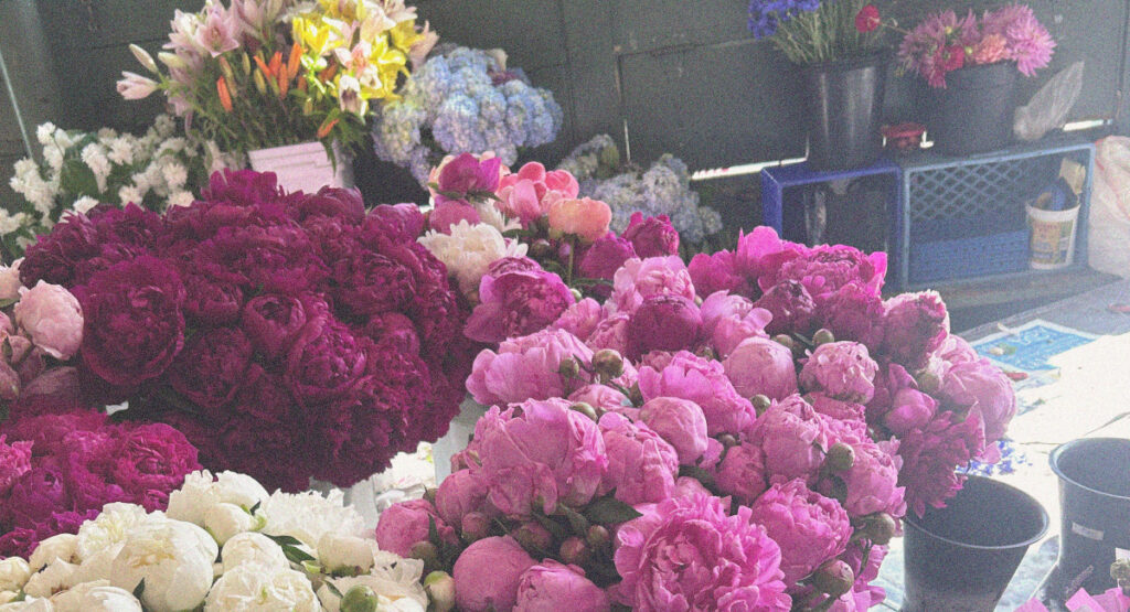 Peonies in a market in Seattle