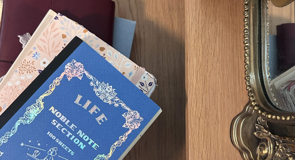 Blog inline image of all the journals in my journal ecosystem