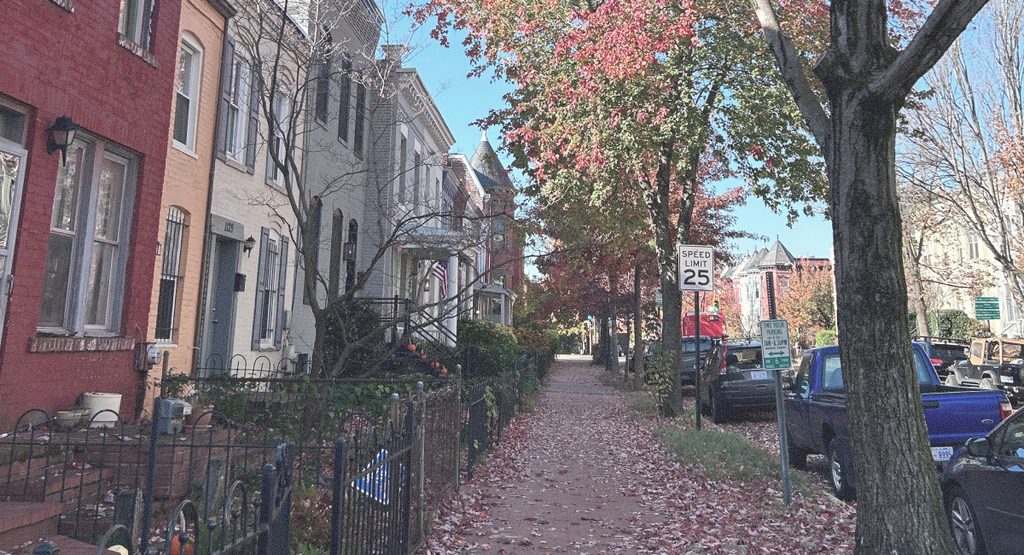 Blog image fall in Northeast DC